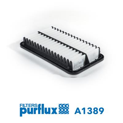 PURFLUX A1389 EAN: 3286062013890.