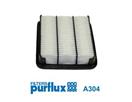 PURFLUX A304