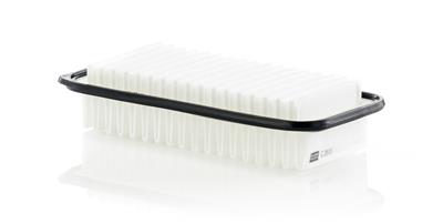 MANN-FILTER C 2513 EAN: 4011558363208.