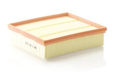 MANN-FILTER C 25 122 EAN: 4011558385705.