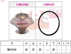 EPS 1.880.256 Made in Italy - OE Equivalent