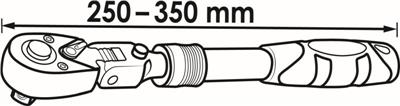 V6638N