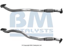 BM CATALYSTS BM50096