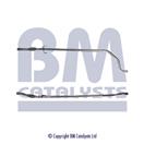 BM CATALYSTS BM50162