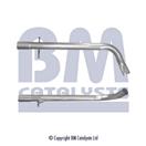 BM CATALYSTS BM50253