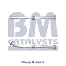 BM CATALYSTS BM50260