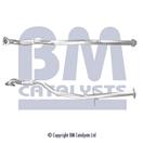 BM CATALYSTS BM50495