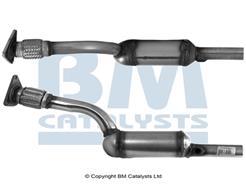 BM CATALYSTS BM91255H