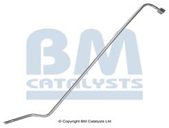 BM CATALYSTS PP11151B