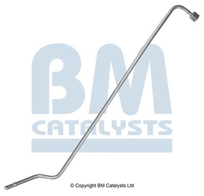 BM CATALYSTS PP11151B