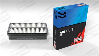 CHAMPION CAF100843P Číslo výrobce: CAF100843P. EAN: 4044197759668.