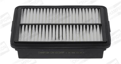 CHAMPION CAF101249P EAN: 4060426466329.