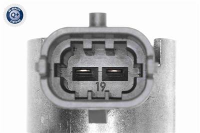 Ackoja A52-25-0005 EAN: 4062375098156.