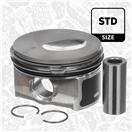 ET ENGINETEAM PM006600