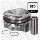 ET ENGINETEAM PM006900