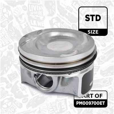 ET ENGINETEAM PM009700ET EAN: 8592779027354.