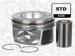 ET ENGINETEAM PM010600