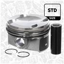 ET ENGINETEAM PM011300