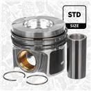 ET ENGINETEAM PM012000