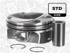 ET ENGINETEAM PM012700