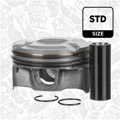 ET ENGINETEAM PM016000