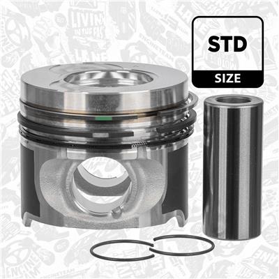 ET ENGINETEAM PM016100