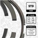 ET ENGINETEAM R1004100