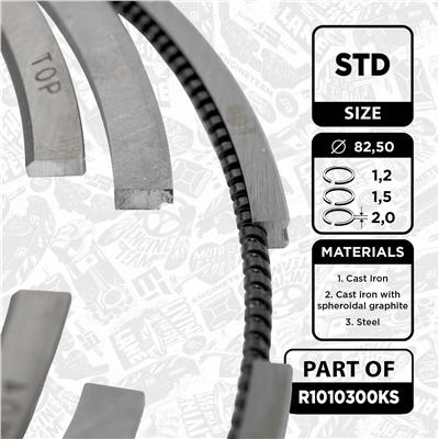 ET ENGINETEAM R1010300KS Číslo výrobce: 800073810000. EAN: 8592779021185.