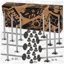 ET ENGINETEAM VS0021VR1