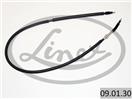 LINEX 09.01.30
