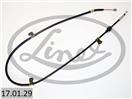 LINEX 17.01.29
