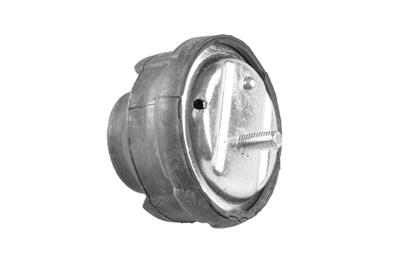 TEDGUM 00080630 EAN: 5908229950005.