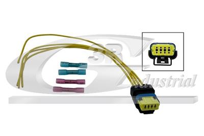 3RG 30203 EAN: 8433889247013.