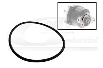 3RG 81091 EAN: 8433889248782.