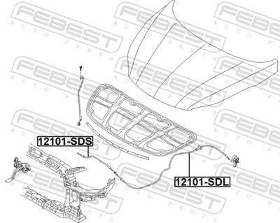 FEBEST 12101-SDL EAN: 4056111155609.