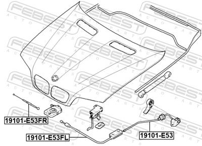 FEBEST 19101-E53 EAN: 4056111143866.
