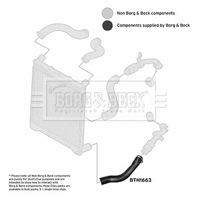 BORG & BECK BTH1663 EAN: 5055936626713.