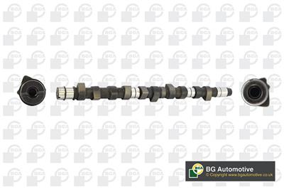 BGA CS3384 EAN: 5038205071124.