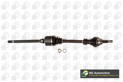 BGA DS1411R EAN: 5038206328524.