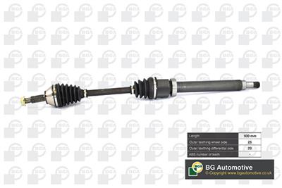 BGA DS2301R EAN: 5038206350303.