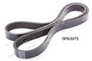JAPKO 5PK975