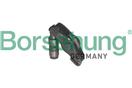 Borsehung B10282