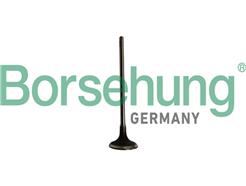 Borsehung B10334