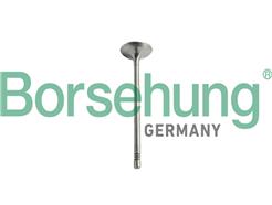 Borsehung B10344