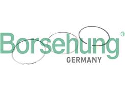 Borsehung B10364