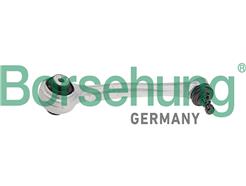 Borsehung B10846