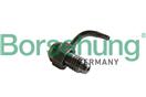 Borsehung B11161