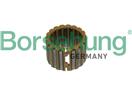 Borsehung B11707