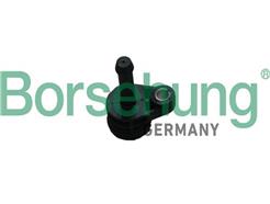 Borsehung B11999