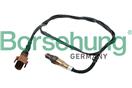 Borsehung B16927